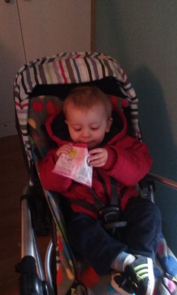 Little Dish Go Gos feedback thread – see what testers think of the latest snacks for LO’s NOW CLOSED