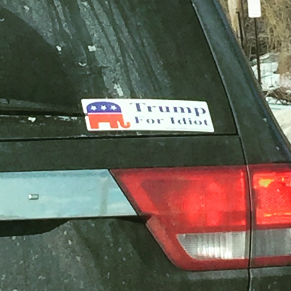 Sarah Palin and Donald Trump