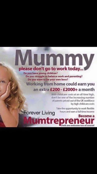 MLM bot watch - Continued discussion of the network marketing companies Forever Living, Herbal Life, Juice Plus etc as a pyramid scheme or scam