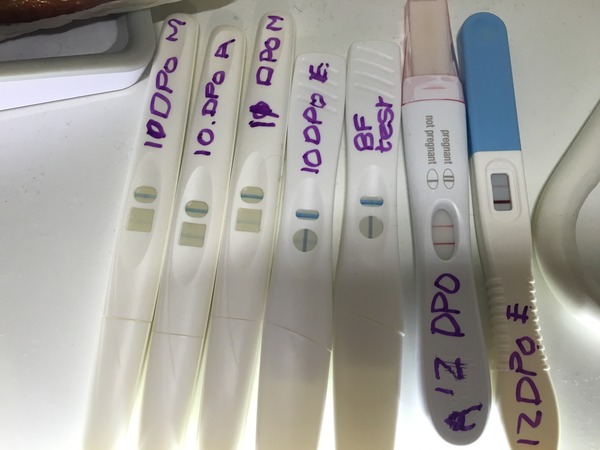 Evaporation or pregnancy