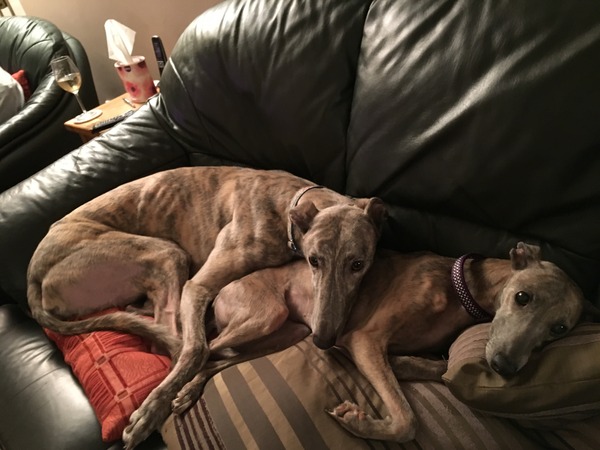 Running thread part 8