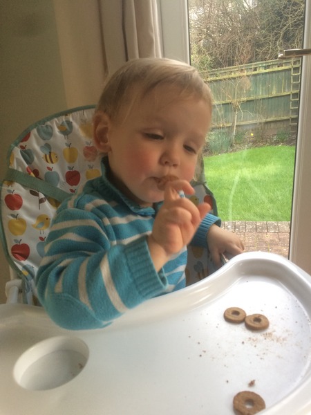 Little Dish Go Gos feedback thread – see what testers think of the latest snacks for LO’s NOW CLOSED