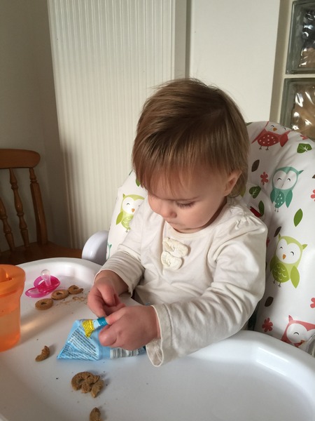 Little Dish Go Gos feedback thread – see what testers think of the latest snacks for LO’s NOW CLOSED