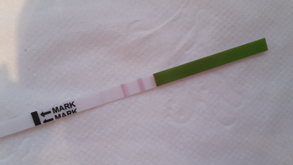 There's Chickens up Trees and BOGOF Deals from the Stork! We're Seeking out the Magic Potion whilst avoiding the Rogue Penis - Don't Flash your Cat, it's JS 57!