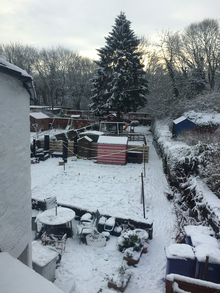 Brave Babes - Wrapping up for a Wonderful Winter