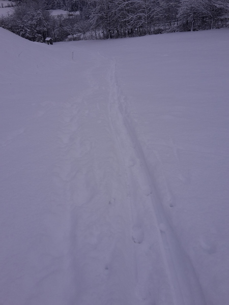 Please can we have a "how much snow is there?" Thread?