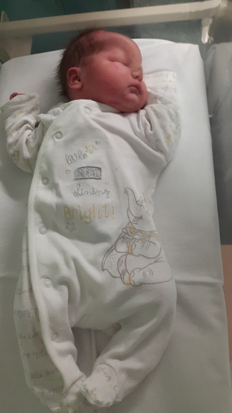 Feb 2016 Babies: The One Where the Babies Start Arriving!