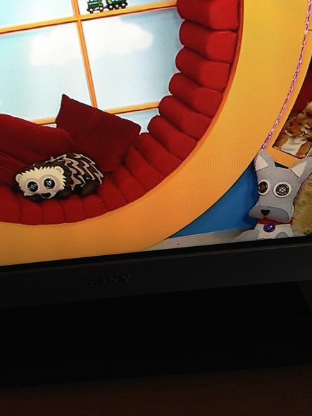 Where can I buy these?