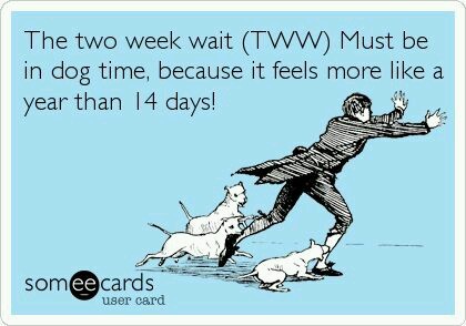TTC#1 Thread 5. The one where we actually got to January 2016! NOW you can start! TMI alert throughout.