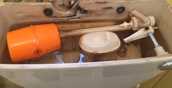 Toilet leaking question!