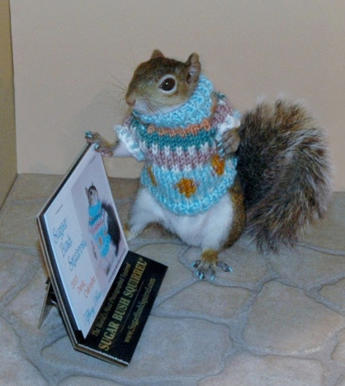 Mass sexual assaults in Cologne and other European cities part III