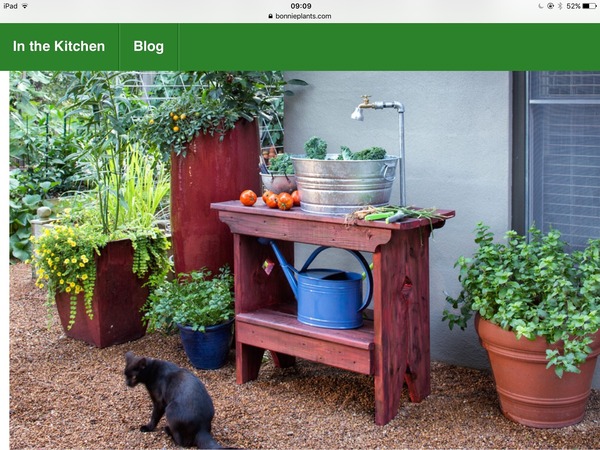 The Garden Kitchen (interior counterpart of a kitchen garden)