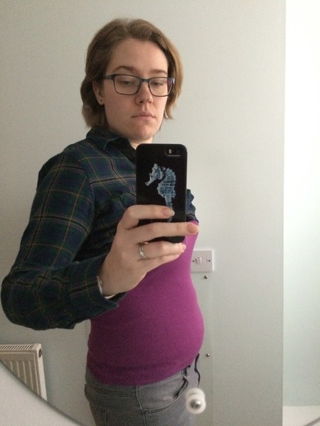 August 2016 (3) - scans fast approaching, teeny tiny bumps appearing, and sickness easing....we hope!