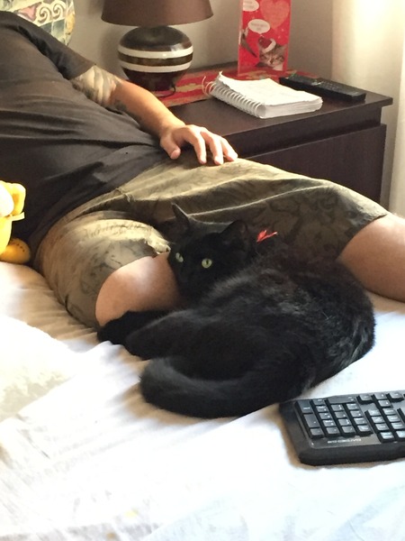 My cat helped me through depression