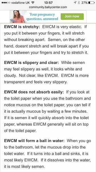 There's Chickens up Trees and BOGOF Deals from the Stork! We're Seeking out the Magic Potion whilst avoiding the Rogue Penis - Don't Flash your Cat, it's JS 57!