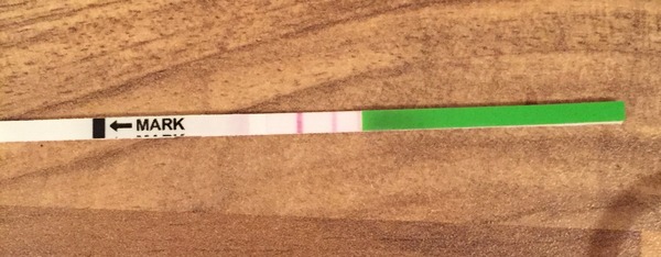 Short Luteal Phase #3