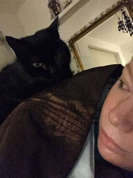 New foster cat issues - mostly a sleep issue!