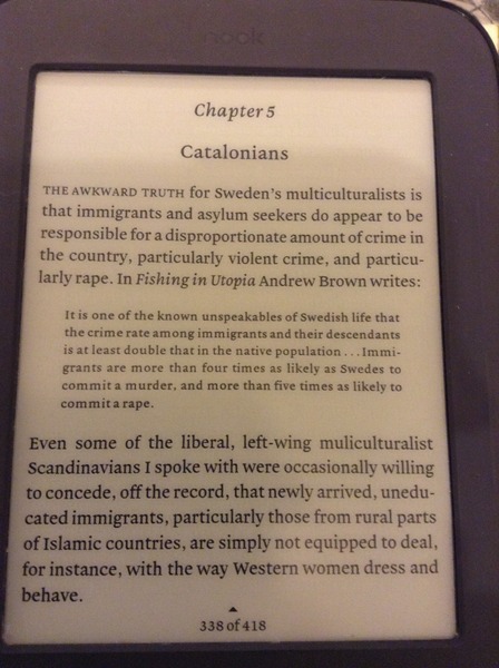 Assaults in Cologne and other European cities part V