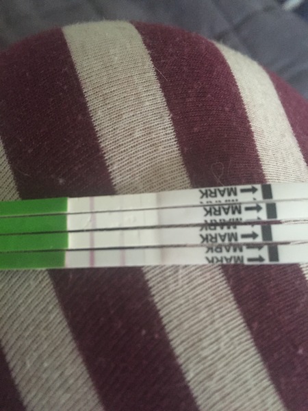 There's Chickens up Trees and BOGOF Deals from the Stork! We're Seeking out the Magic Potion whilst avoiding the Rogue Penis - Don't Flash your Cat, it's JS 57!