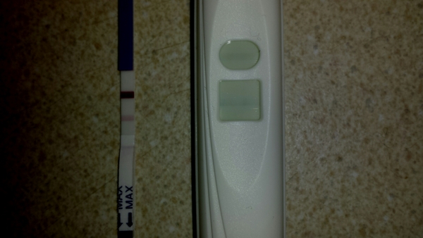 Bfp or not