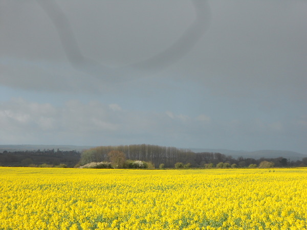 Brave Babes - Wrapping up for a Wonderful Winter