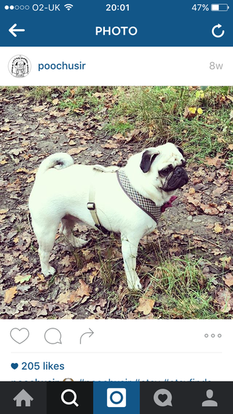 JRT escaping from harness - help!