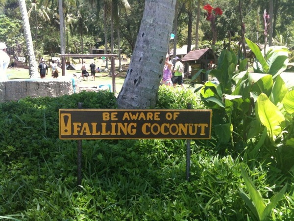To be annoyed by exessive "do not" signs and notices everywhere