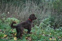 Brave Babes - Wrapping up for a Wonderful Winter