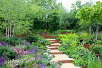 Would anybody enjoy helping me plan a border?