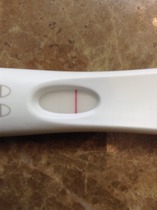 There's Chickens up Trees and BOGOF Deals from the Stork! We're Seeking out the Magic Potion whilst avoiding the Rogue Penis - Don't Flash your Cat, it's JS 57!