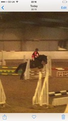 Should I buy yet another pony??! Lighthearted