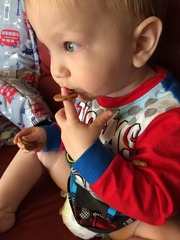 Little Dish Go Gos feedback thread – see what testers think of the latest snacks for LO’s NOW CLOSED