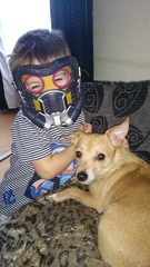 any owners of border/cairn or jack russell terriers?