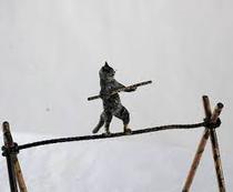 Zombie's Surgical Adventures and Beyond