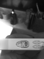 There's Chickens up Trees and BOGOF Deals from the Stork! We're Seeking out the Magic Potion whilst avoiding the Rogue Penis - Don't Flash your Cat, it's JS 57!