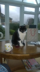 Come and rejoice with me as FatCat is no more...