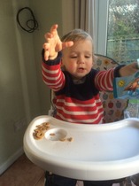Little Dish Go Gos feedback thread – see what testers think of the latest snacks for LO’s NOW CLOSED