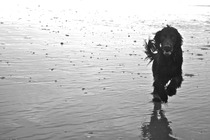 Brave Babes - Wrapping up for a Wonderful Winter