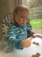 Little Dish Go Gos feedback thread – see what testers think of the latest snacks for LO’s NOW CLOSED