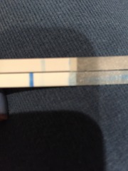 Faint positive but not pregnant on digital
