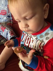 Little Dish Go Gos feedback thread – see what testers think of the latest snacks for LO’s NOW CLOSED