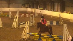 Should I buy yet another pony??! Lighthearted