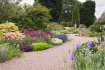 Would anybody enjoy helping me plan a border?