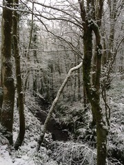 Mugabe Nights: sometimes you wanna go where everybody knows your (sleep deprived) pain!