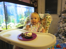 September 2014 - Babies turn 1!