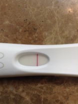 There's Chickens up Trees and BOGOF Deals from the Stork! We're Seeking out the Magic Potion whilst avoiding the Rogue Penis - Don't Flash your Cat, it's JS 57!