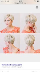 Pixie crops