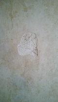 Advice needed - Removed wallpaper and now have cracks in plaster