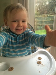 Little Dish Go Gos feedback thread – see what testers think of the latest snacks for LO’s NOW CLOSED