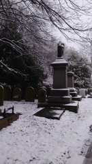 Mugabe Nights: sometimes you wanna go where everybody knows your (sleep deprived) pain!